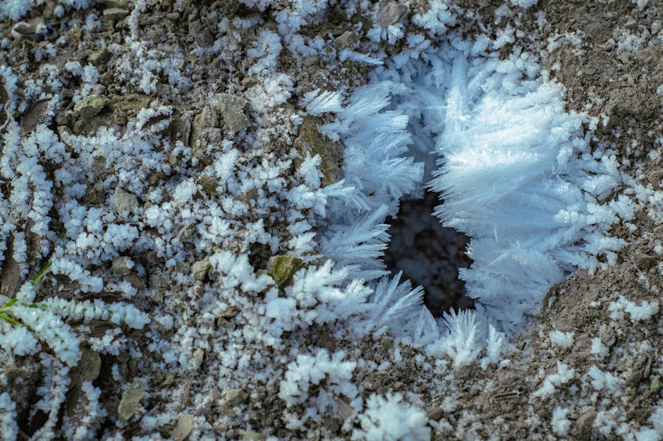 Ewolucja wirusów w środowiskach ekstremalnie zimnych