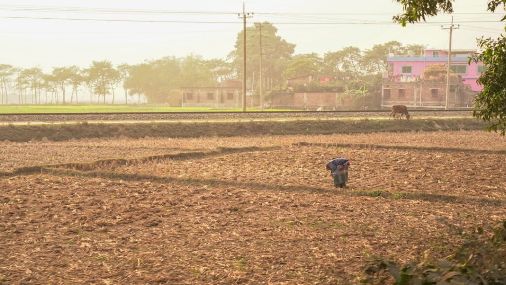 Inwestowanie w ziemię rolną jako zabezpieczenie emerytalne