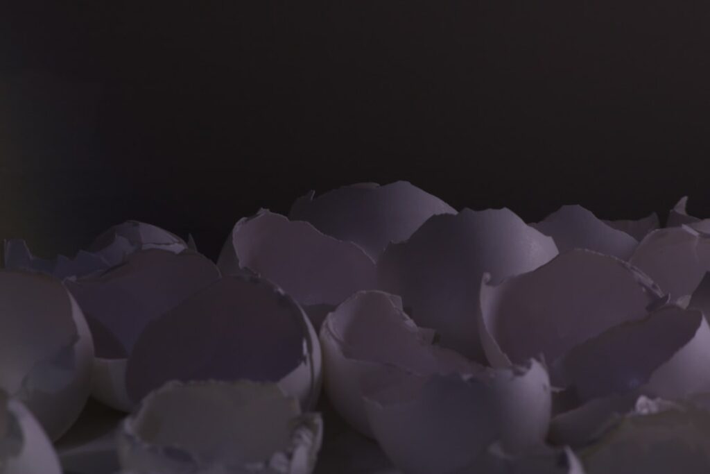 Jak rozpoznać świeżość jajek bez rozbijania skorupki