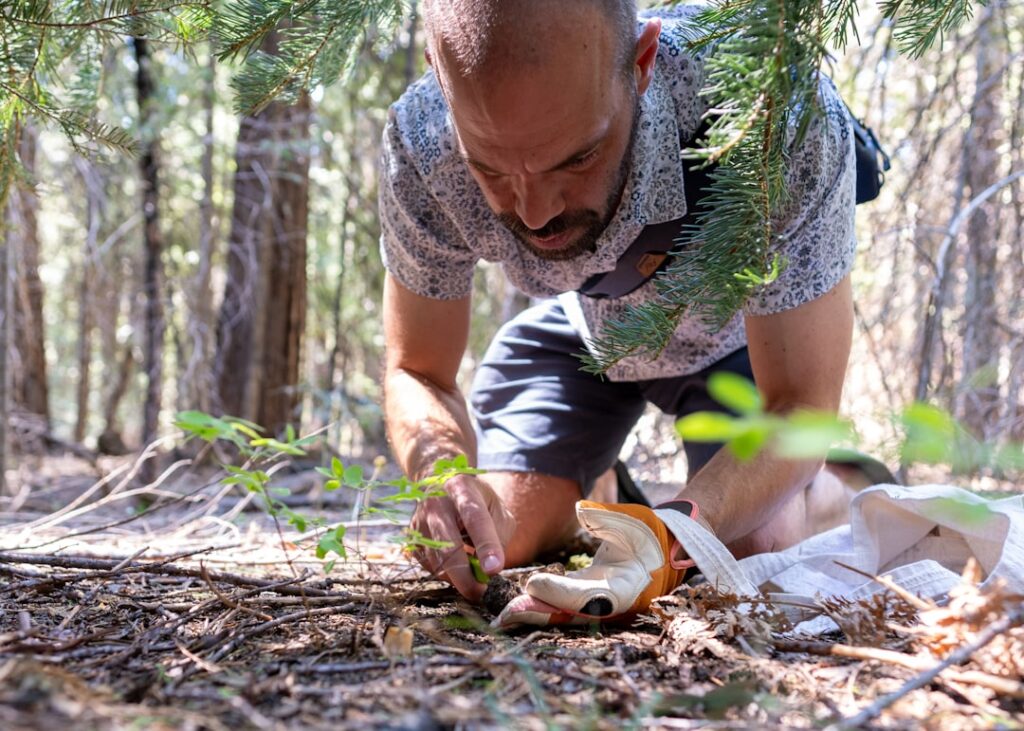 Przetrwanie w dziczy dla amatorów survivalu