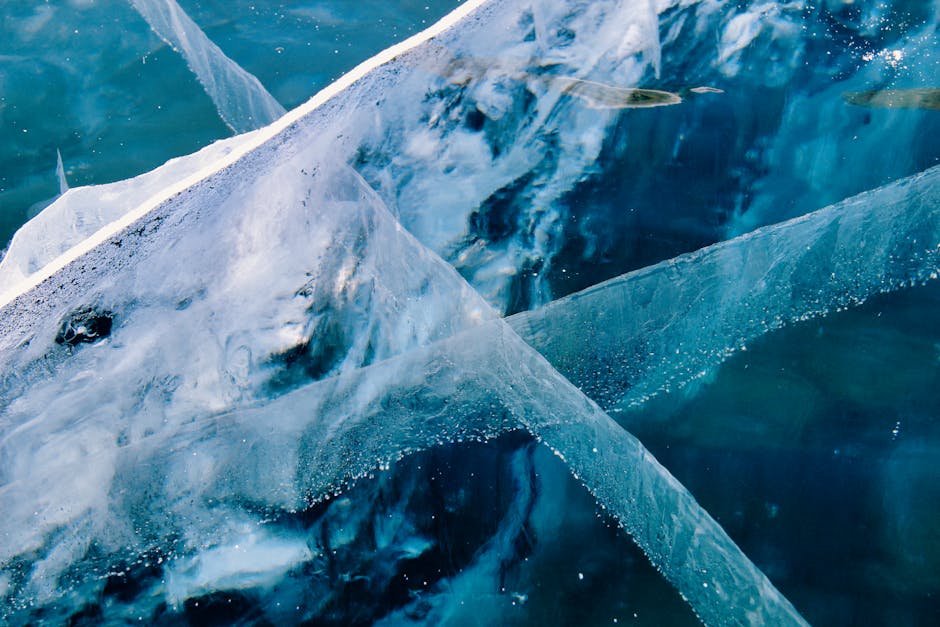 Tajemnice antarktycznych jezior podlodowcowych