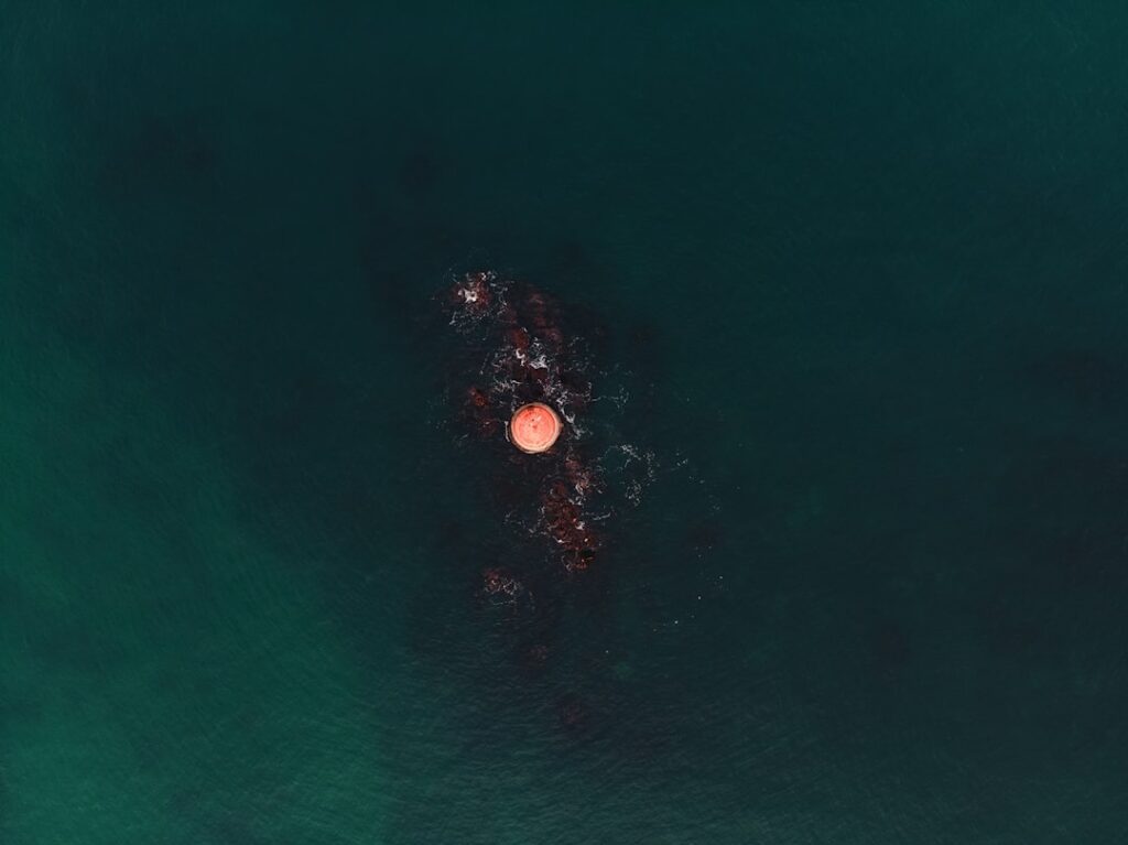 Wpływ faz księżyca na zachowanie organizmów morskich