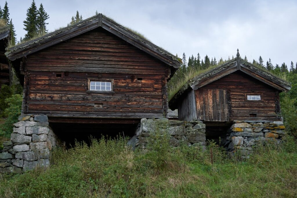 Zalety i wady domów szkieletowych w polskim klimacie