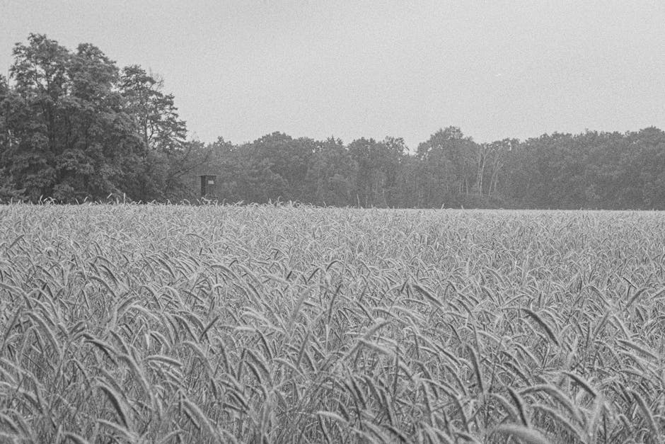 Zastosowanie kwasów owocowych w jesiennej regeneracji